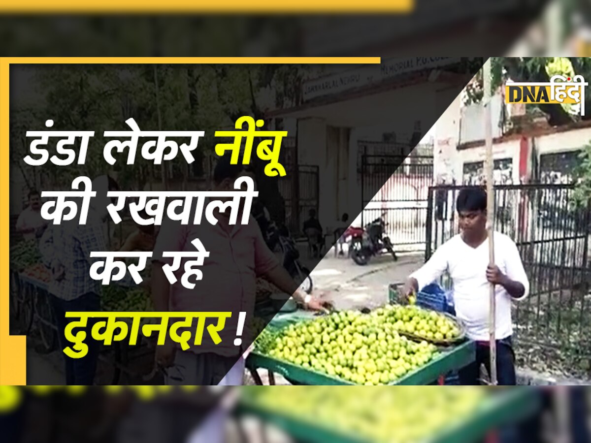 Lemon Price: डंडा लेकर नींबू की सुरक्षा कर रहे दुकानदार! बोले- ग्राहक एक भी उठा ले गया तो...