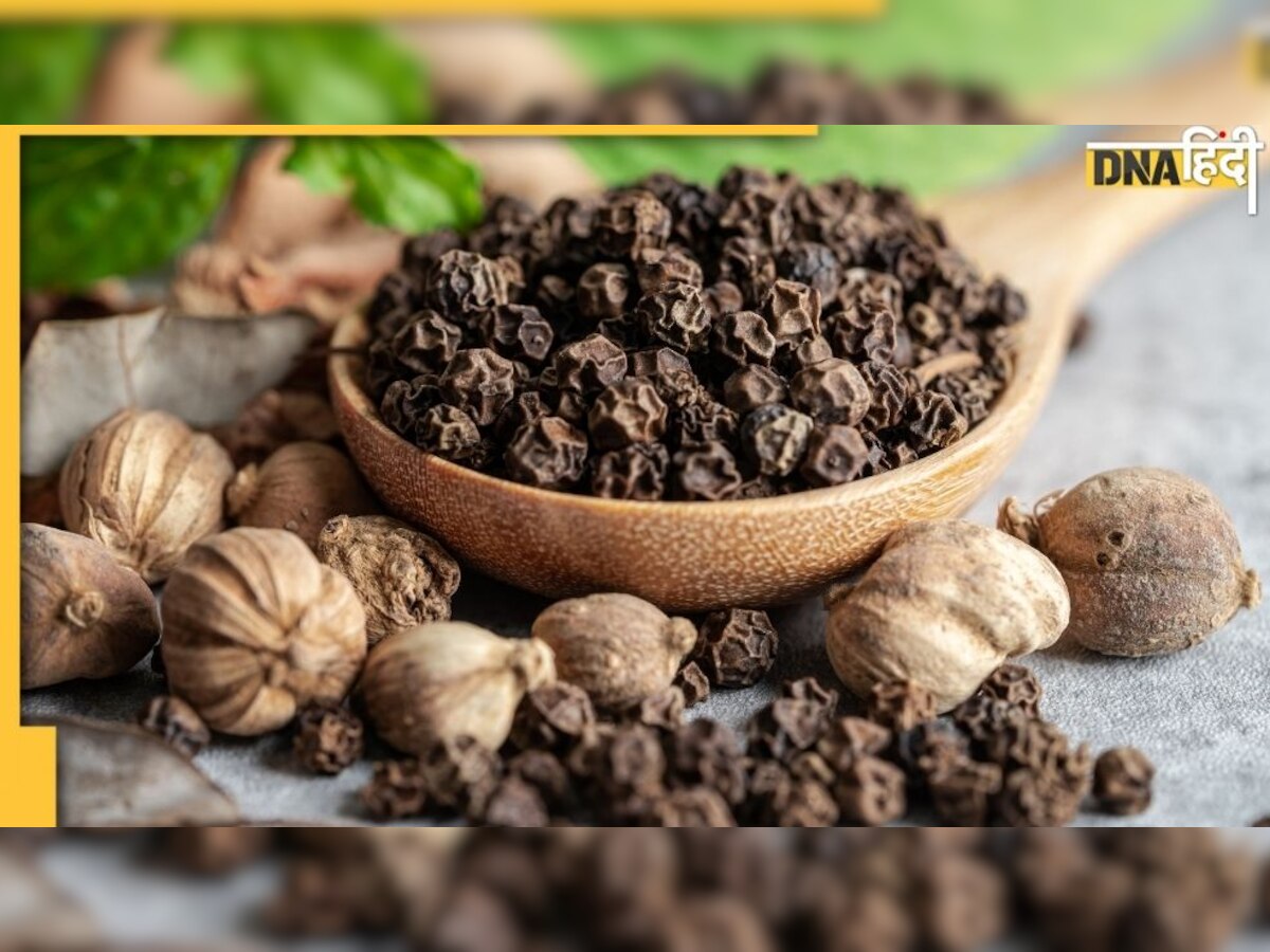 Black Pepper: कमाल की चीज है काली मिर्च, इसके फायदे कर देंगे आपको हैरान