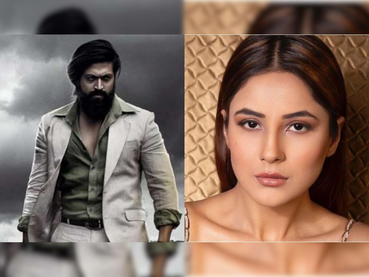 KGF Chapter 2: Shehnaaz Gill reacts to Yash's actioner, says she 'loved the violence'