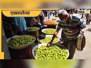 Lemon Inflation: आखिर क्यों महंगा हो गया है नींबू, क्यों कम नहीं हो रही हैं कीमतें?