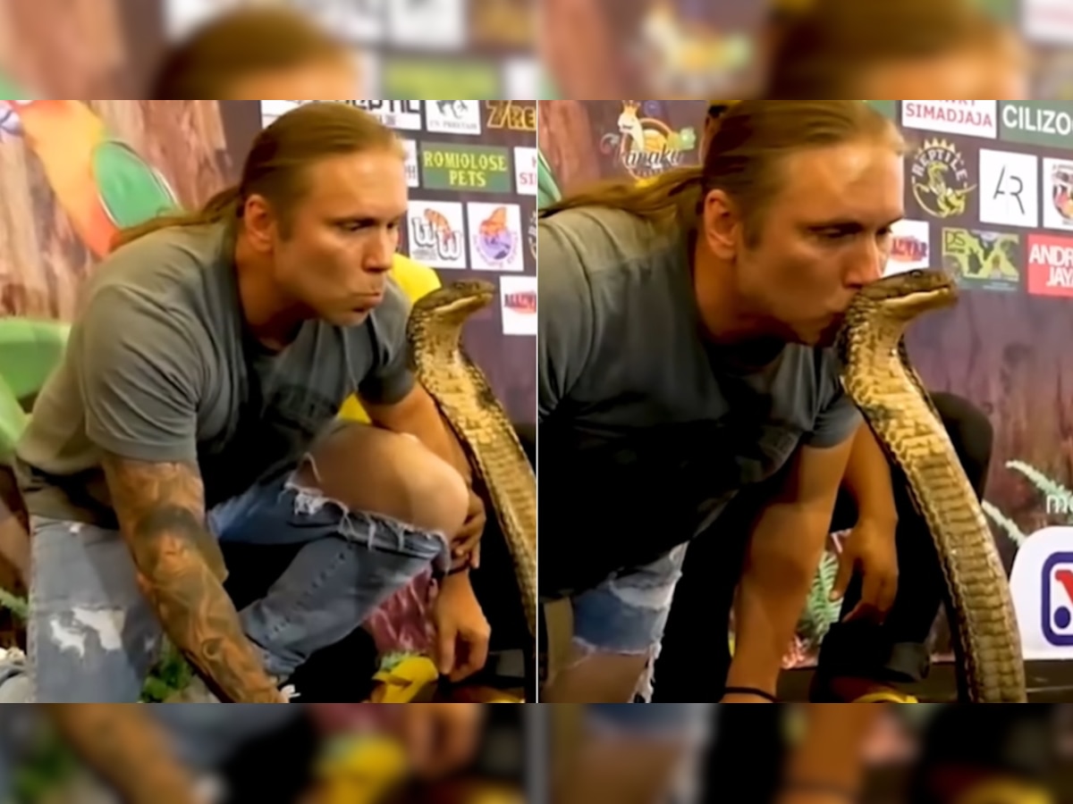 Man tries to kiss King Cobra on head in this viral video, see what happens next