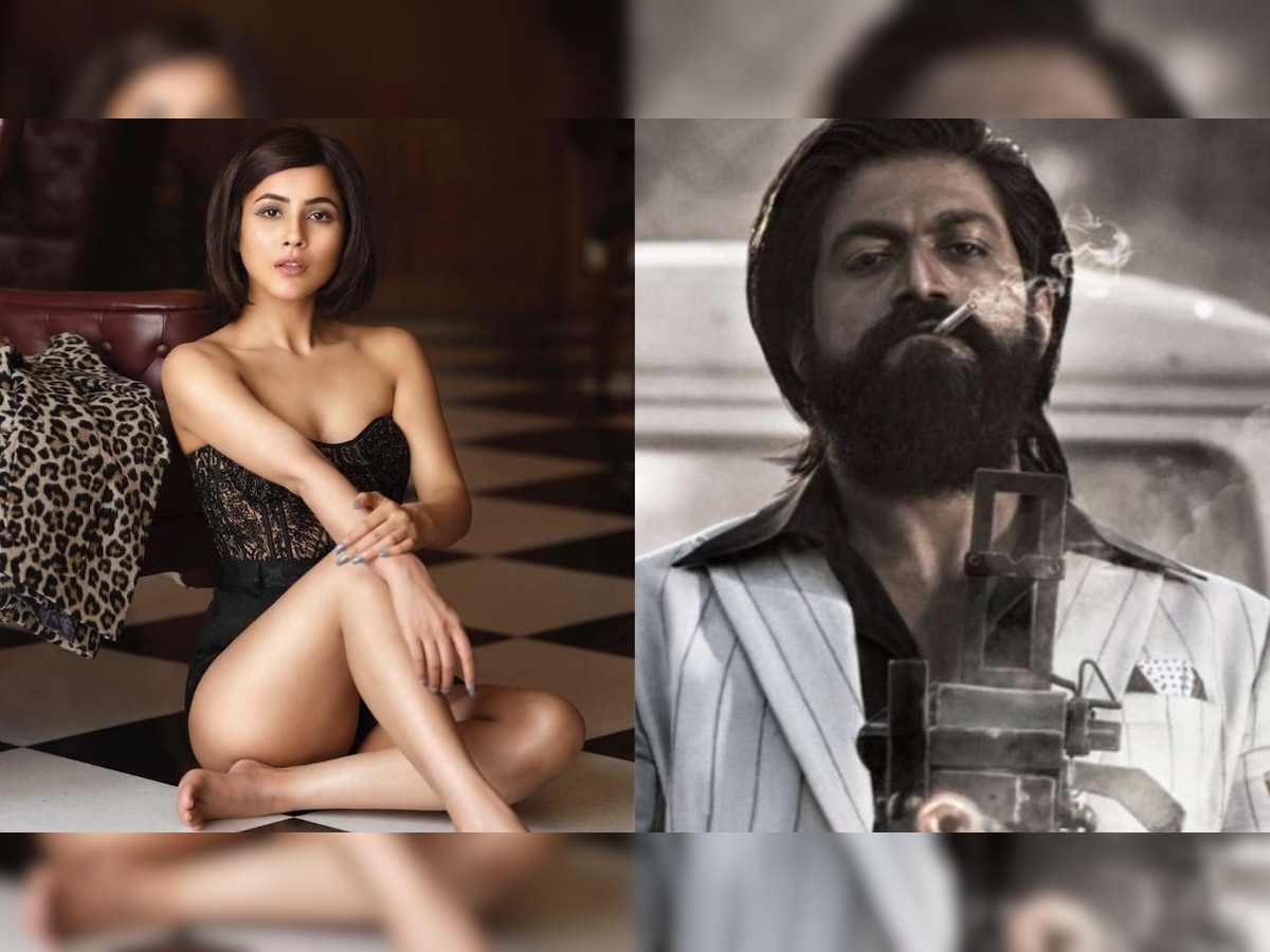 Shehnaaz Gill gives away major spoiler of KGF Chapter 2