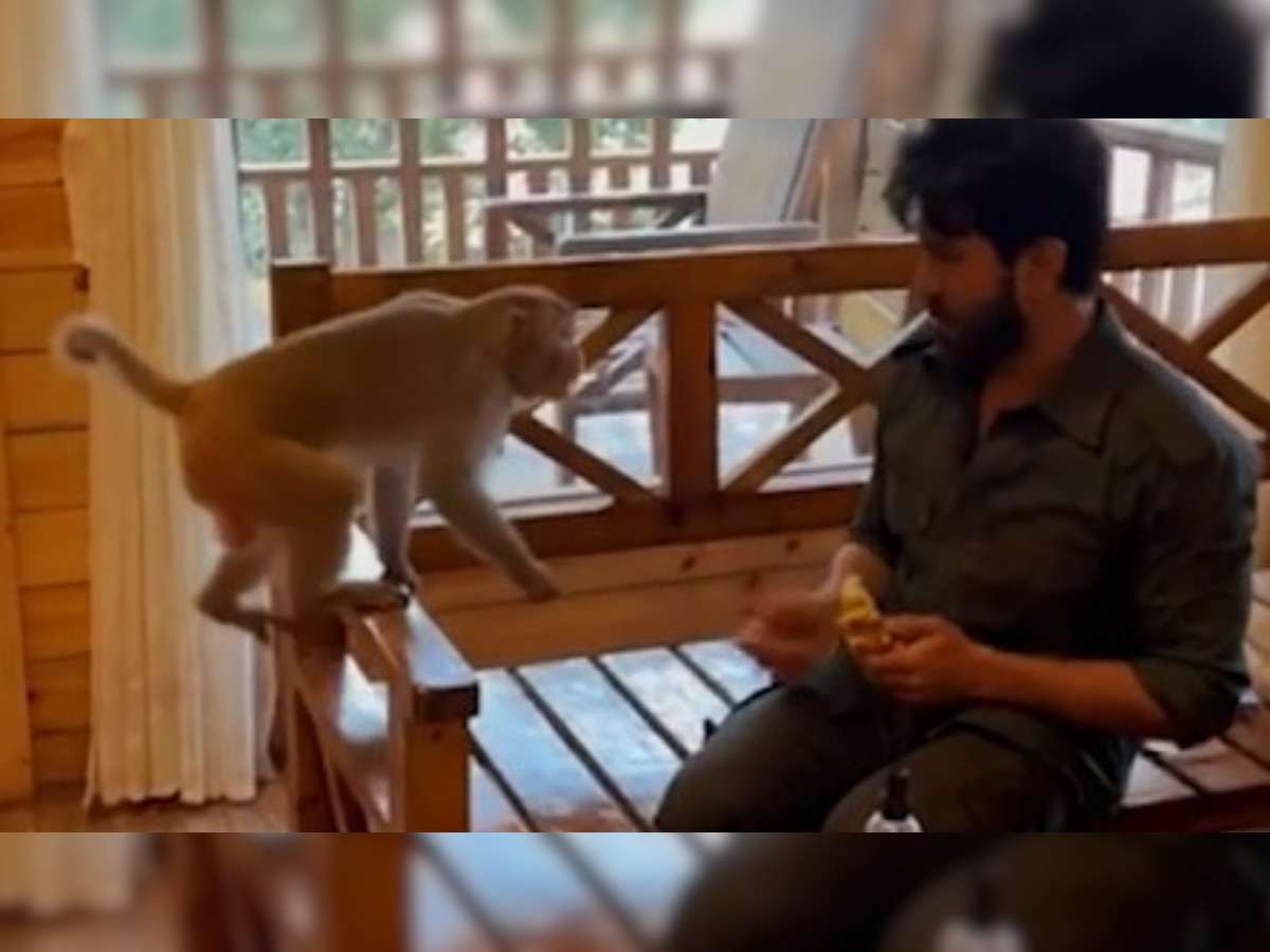 RRR’s Ram Charan spotted feeding monkey on Hanuman Jayanti, watch viral video