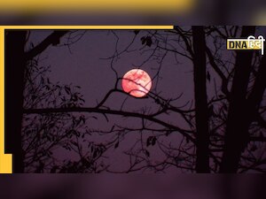 आसमान में दिखा 'Pink Moon' का अद्भुत नजारा, जानिए क्यों मिला इसे यह नाम 