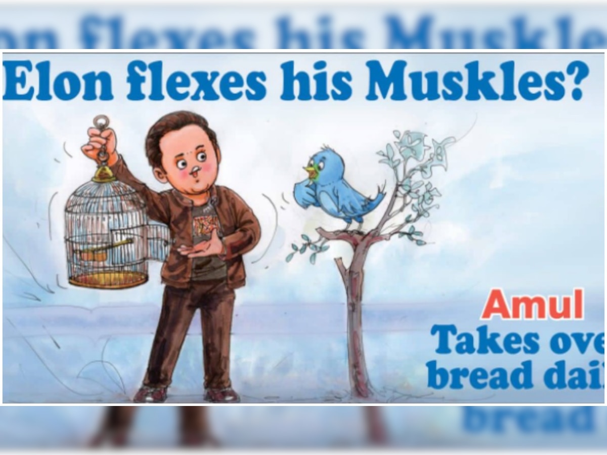 'Elon flexes his Muskles?' Amul takes a jibe at Musk on acquiring Twitter