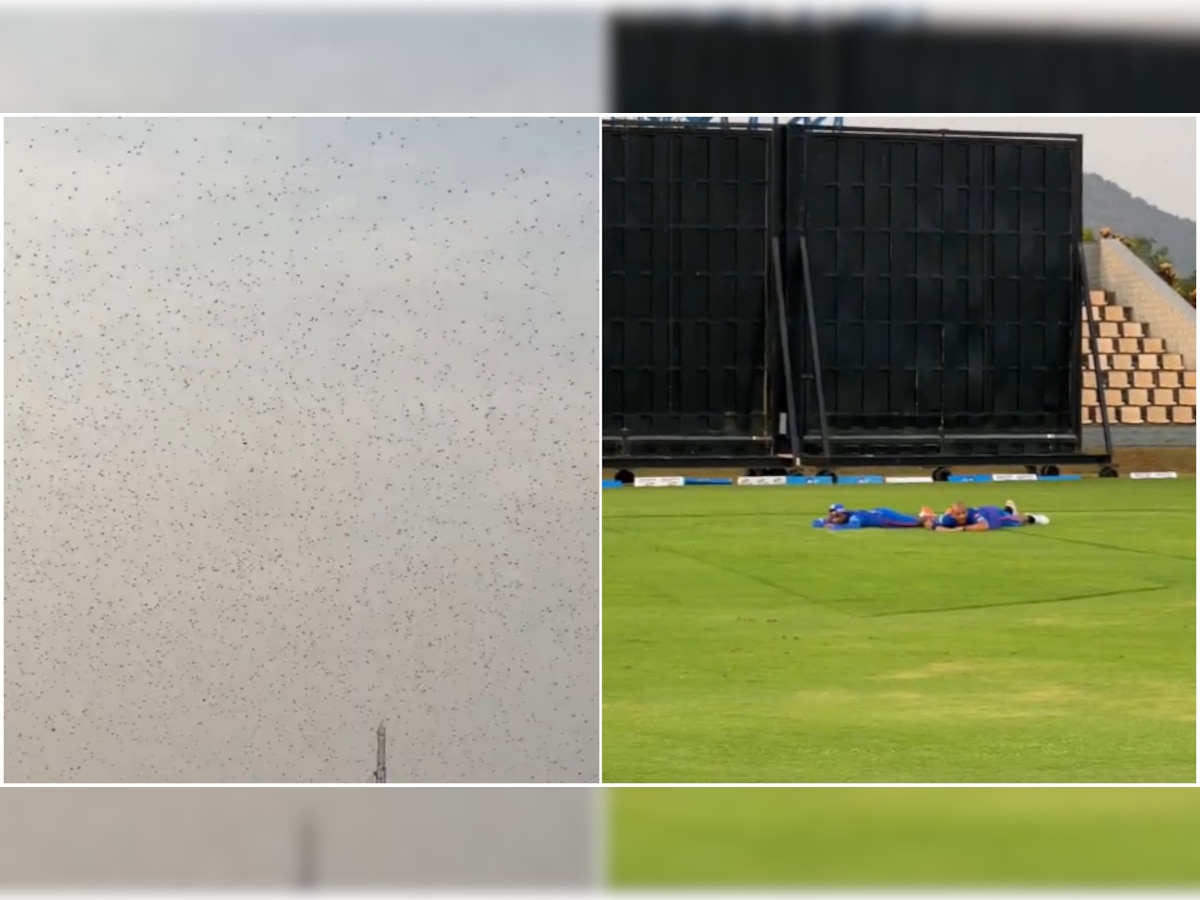 IPL 2022: Ahead of MI vs CSK match, bees attack Mumbai Indians players during training