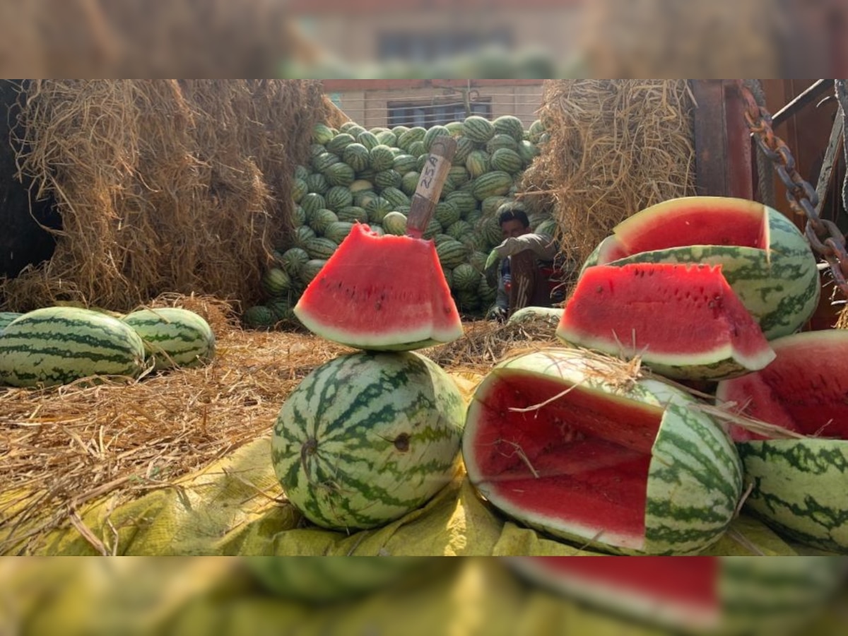 Watermelon worth Rs 5 crore sold every day in Kashmir during Ramadan, all previous records broken