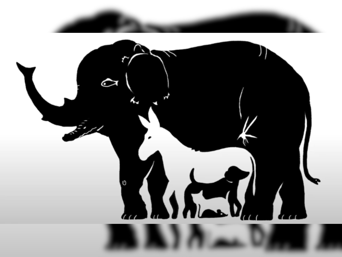 Optical illusion: Spot the number of animals in this image and check your attention to detail