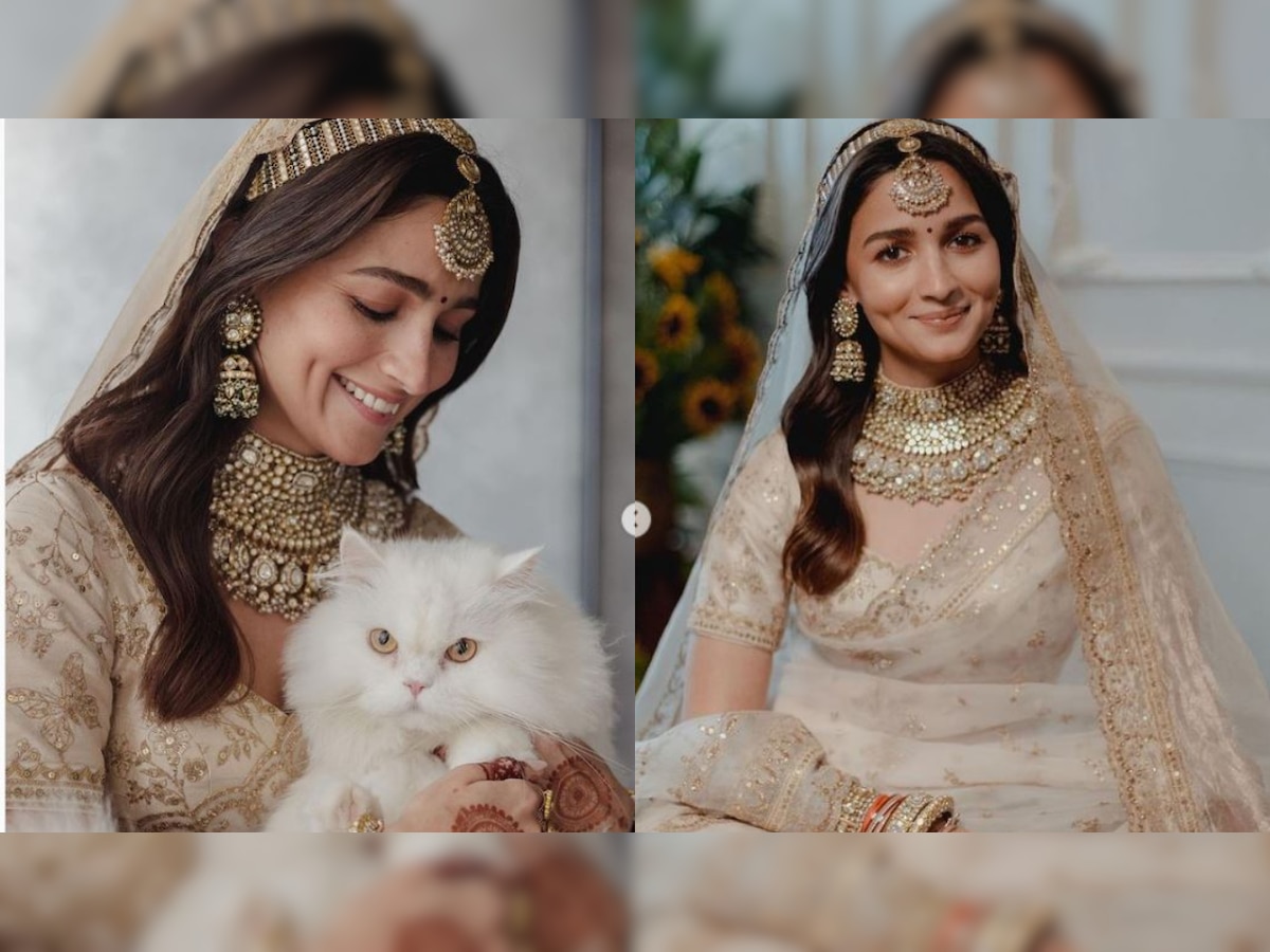 Alia Bhatt poses with her cat on wedding day, adorable photo goes VIRAL
