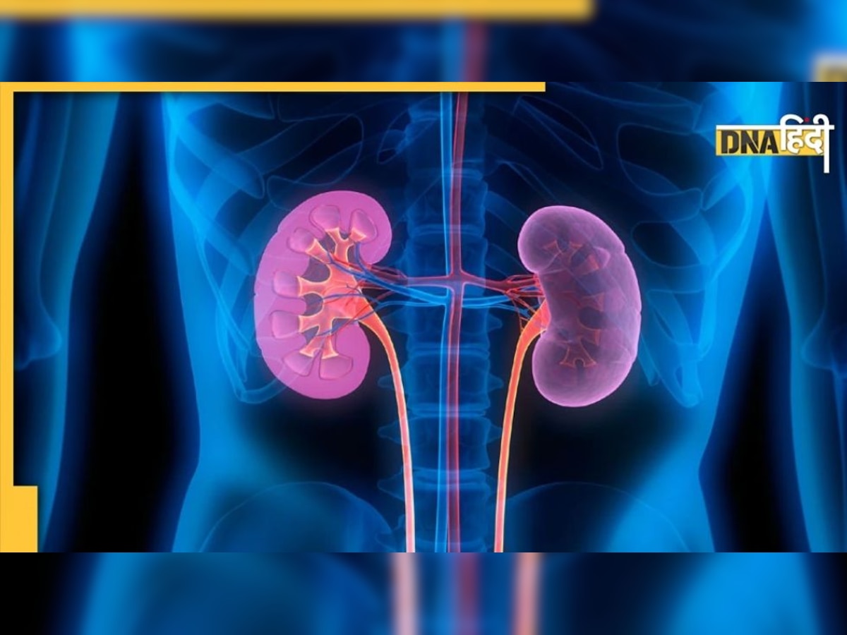 सीधे Kidney पर हमला कर रहा है Covid, ऐसे करें बचाव