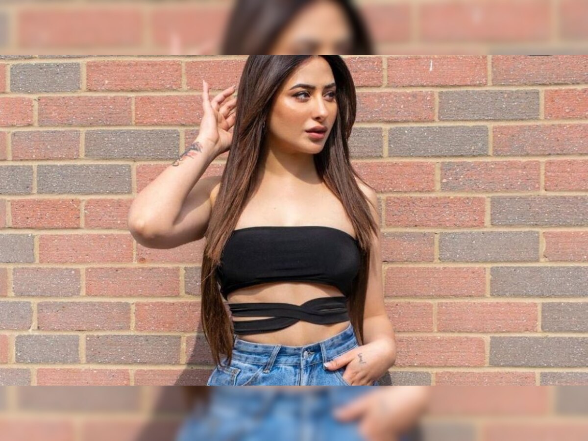 Bigg Boss 13 contestant Mahira Sharma gets fat-shamed by reporter, walks away from interview in mid-way