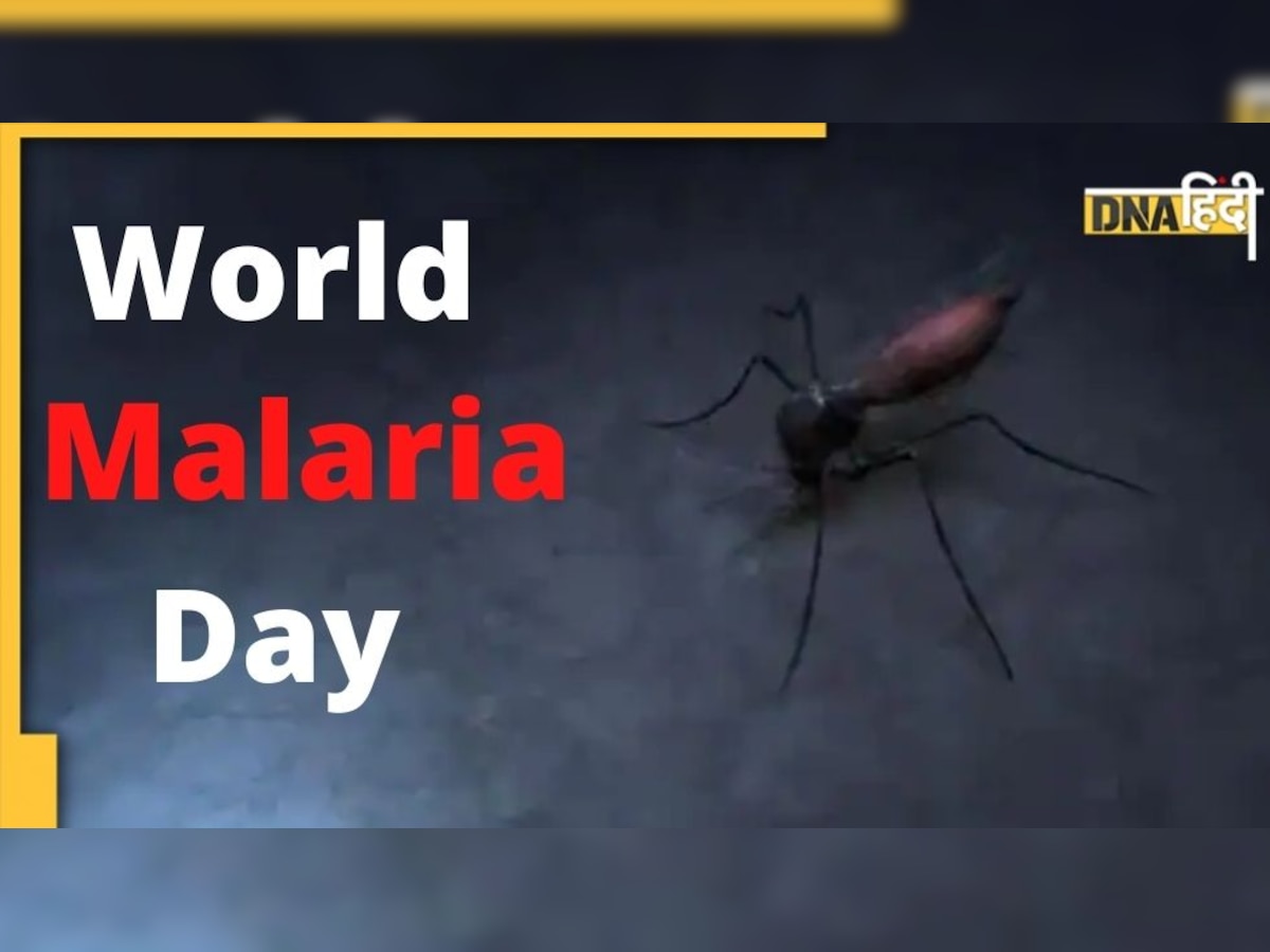 World Malaria Day 2022: कैसे होता है मलेरिया, क्या हैं लक्षण और बचाव का तरीका?