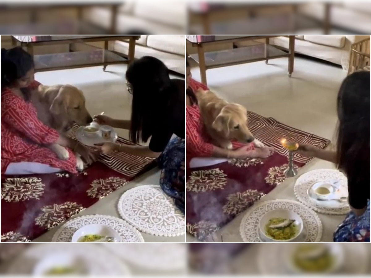 Dog's birthday celebrated in traditional style, video goes viral
