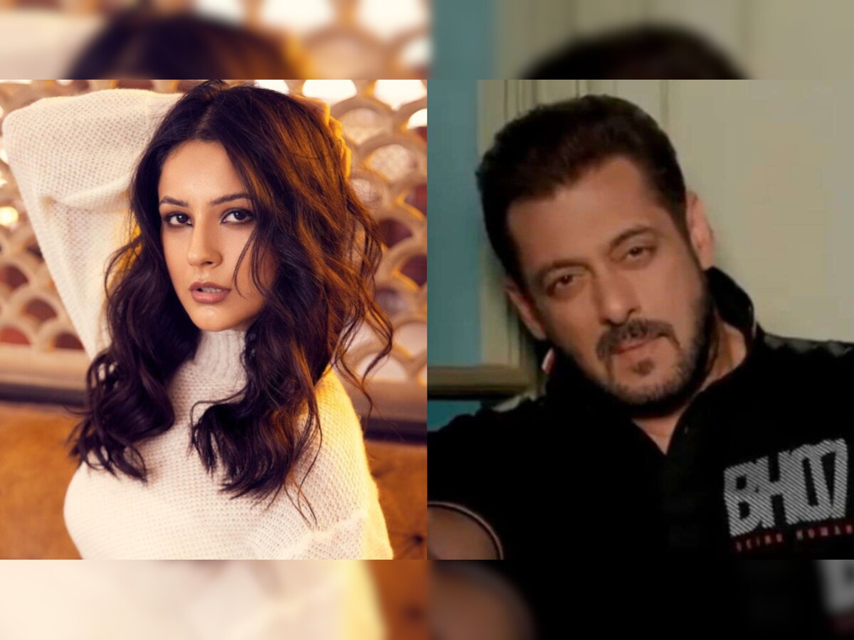 Shehnaaz Gill to make her Bollywood debut with Salman Khan in Kabhi Eid Kabhi Diwali?