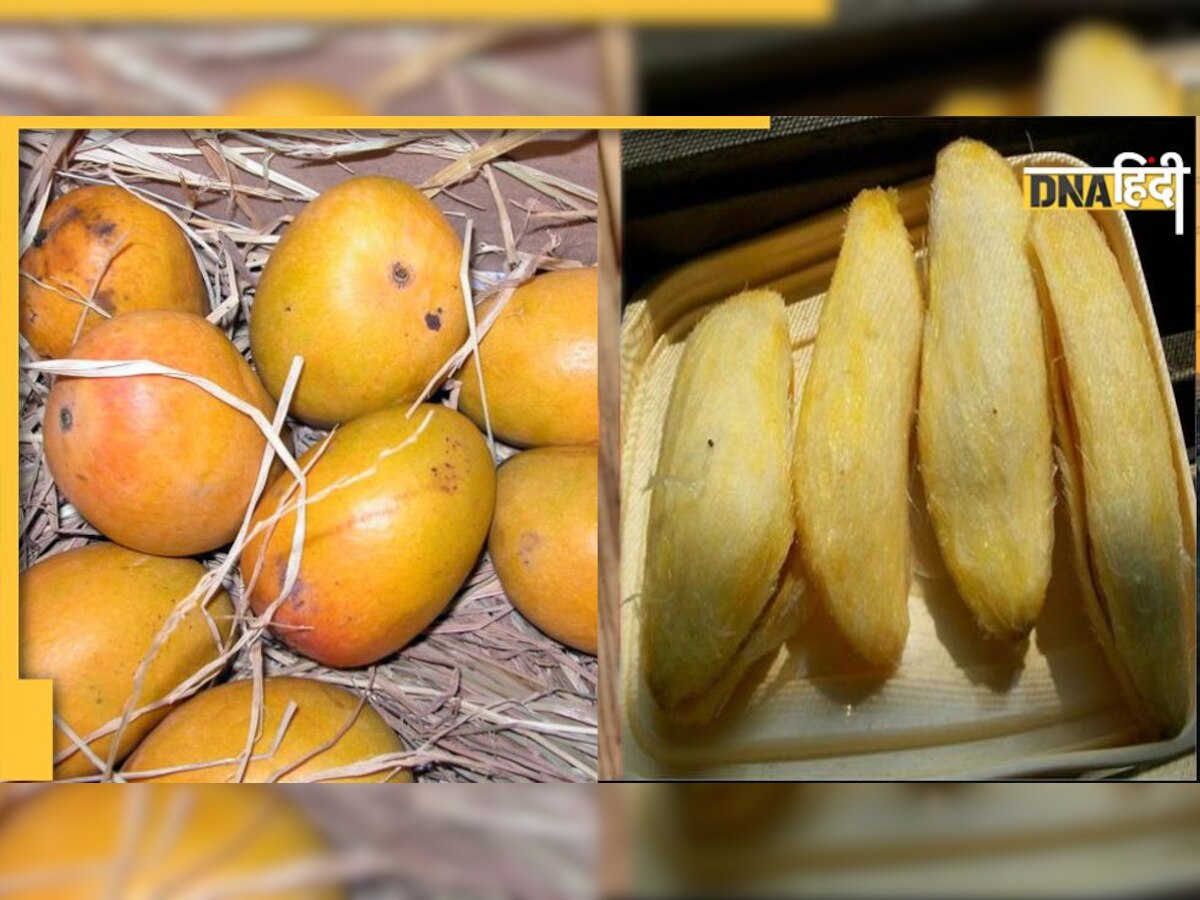 Mango News: आम की गुठलियां भी बड़े काम की चीज हैं, जानिए इसके फायदे