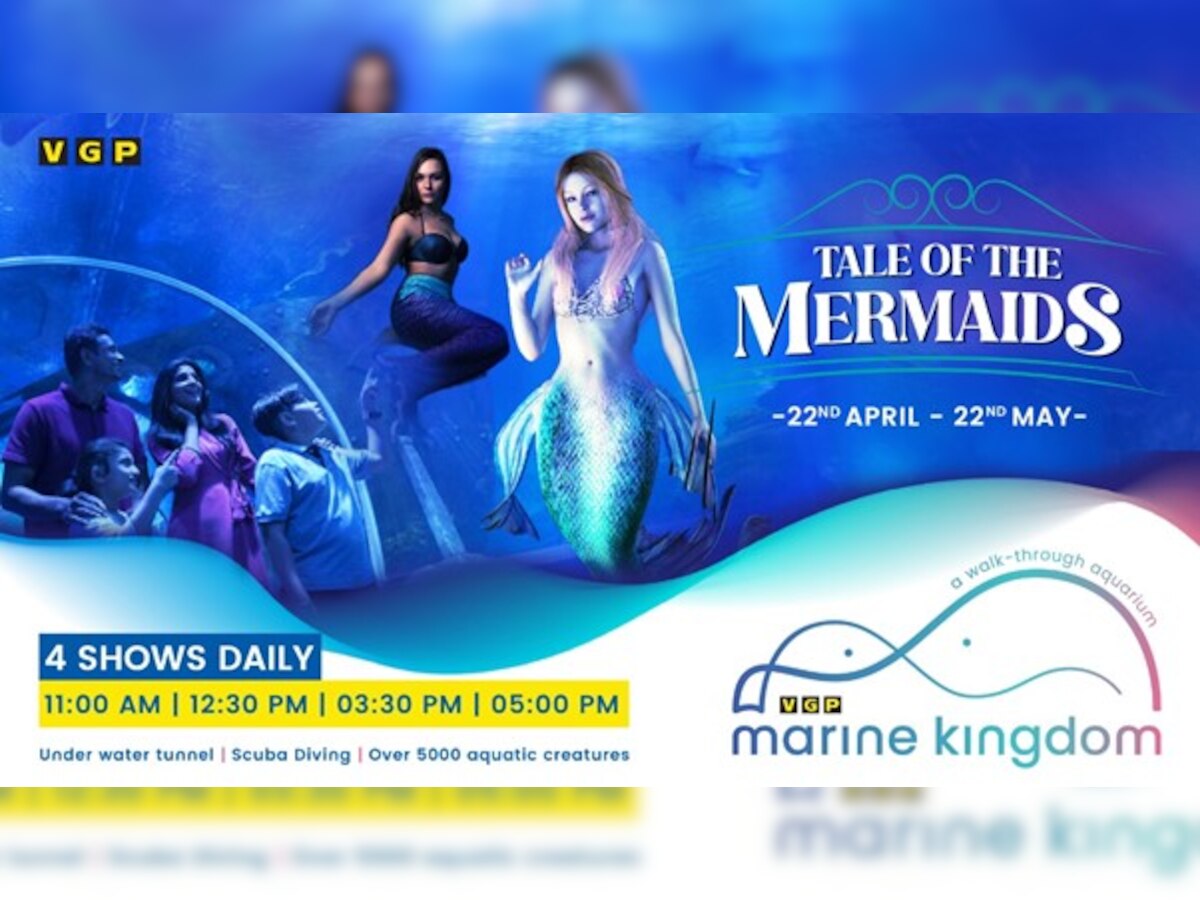 Catch 2 Mermaids at the VGP Marine Kingdom Summer Carnival