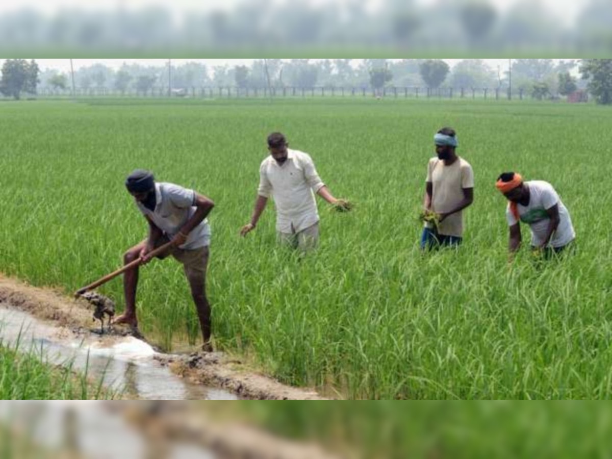 PM KISAN Yojana: Beneficiaries must complete THIS work to get the 11th instalment