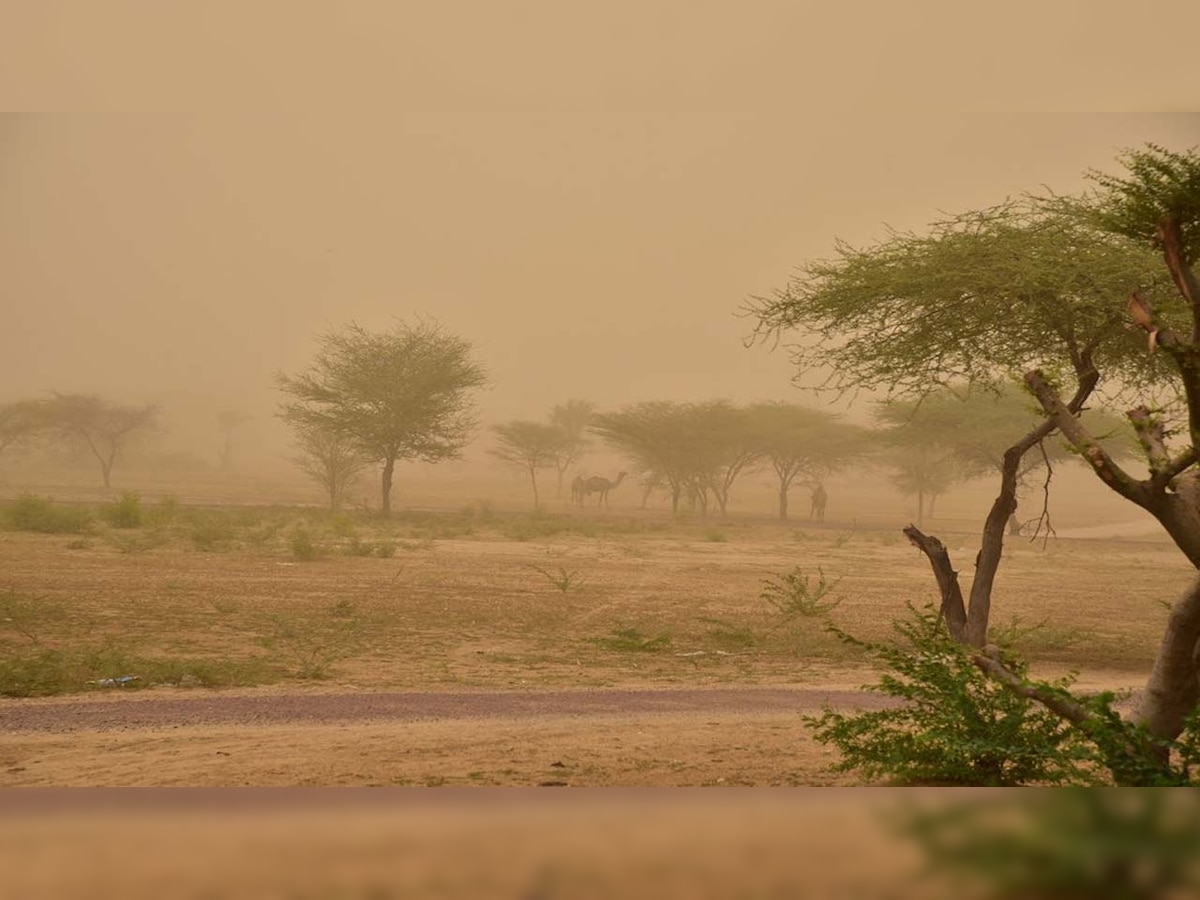 Weather update: Dust storm likely over Punjab, Haryana, Delhi, West UP, North Rajasthan today