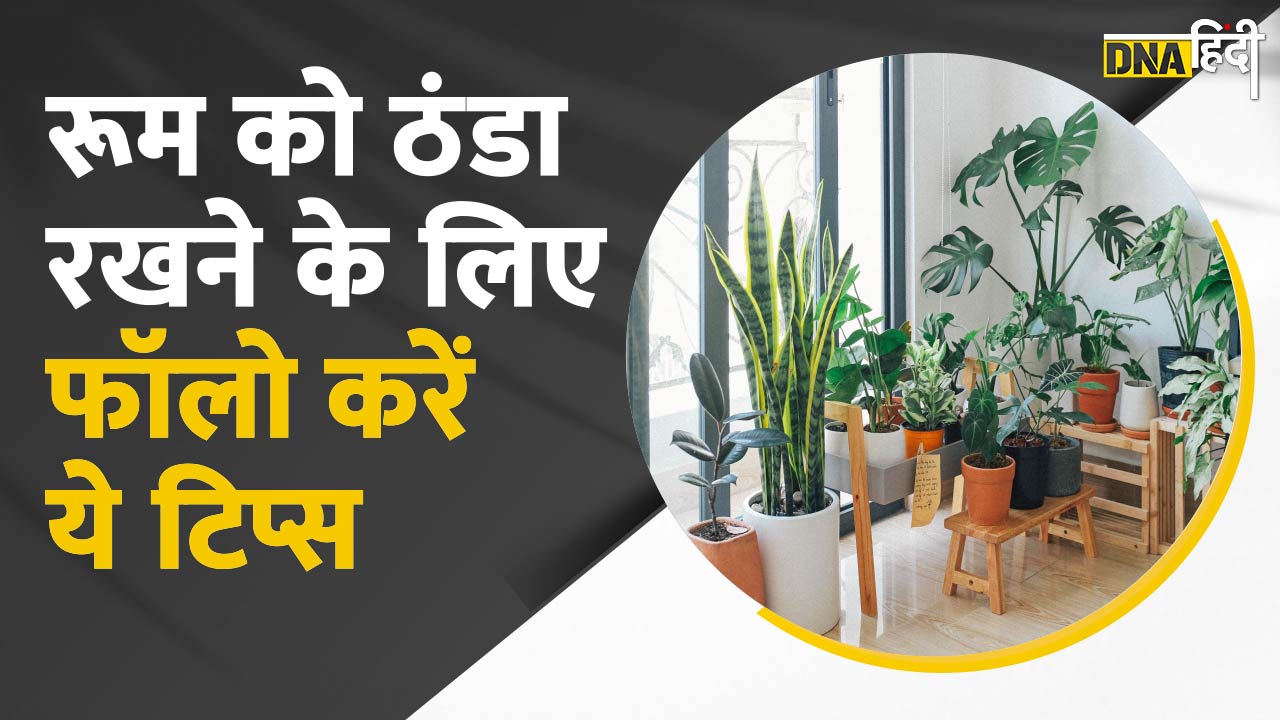 Video : गर्मी और बिजली गुल से परेशान हैं तो कैसे रखें Room को ठंडा? अपनाएं ये आसान टिप्स