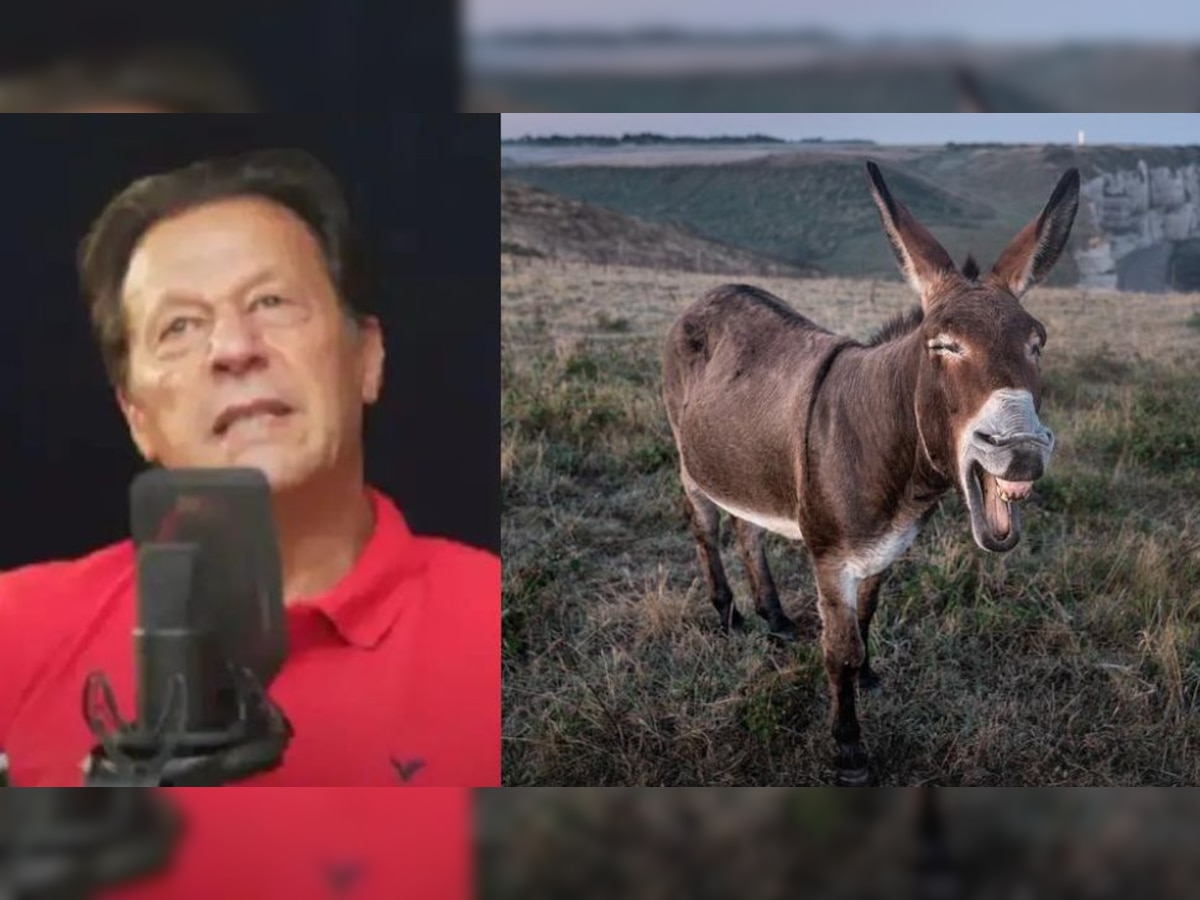 Watch: Imran Khan compares himself to a donkey, netizens react hilariously