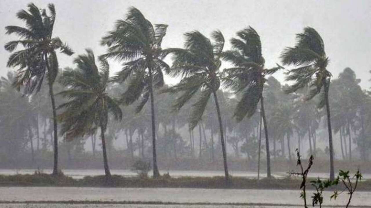 Cyclone Asani Intensifies Into Severe Storm, IMD Issues Rainfall Alert ...