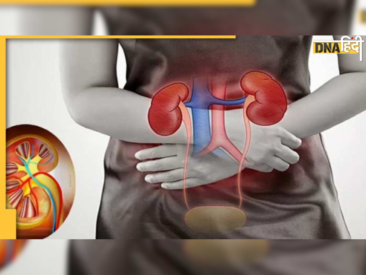  Kidney Disease: शरीर दे ये संकेत तो तुरंत हो जाएं सावधान 