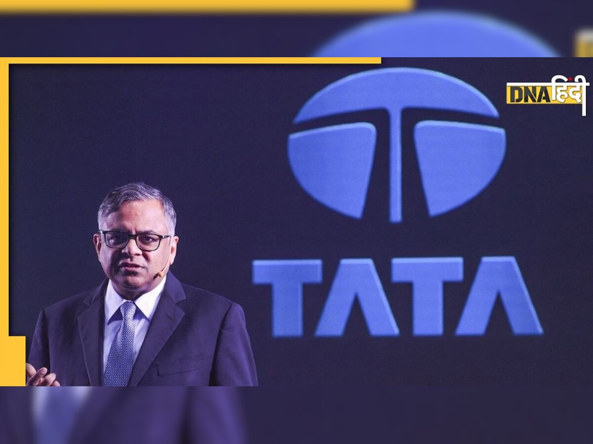 Tata Group शुरू करने वाला है नया बिजनेस, पावर और ईवी सेक्टर में होगी अहम भूमिका