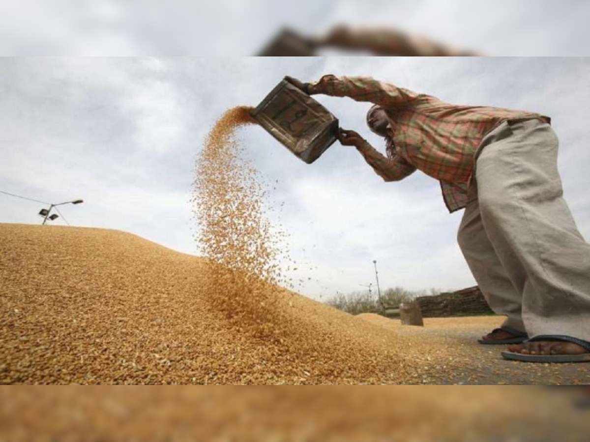 G7 criticises India’s decision to ban wheat exports, says it will worsen the crisis