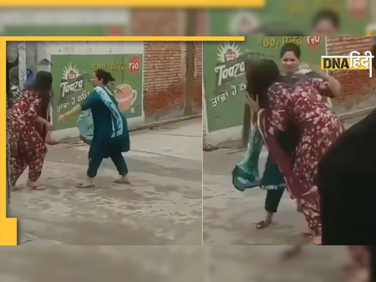 Cat Fight: मोहल्ले में भिड़ गईं दो महिलाएं, बीच सड़क पर जमकर चली झाडू