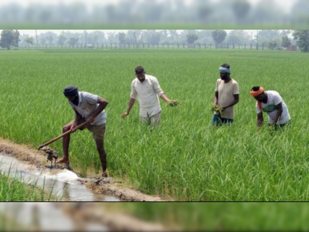 PM Kisan 11th installment: Farmers likely to receive Rs 2,000 on THIS date