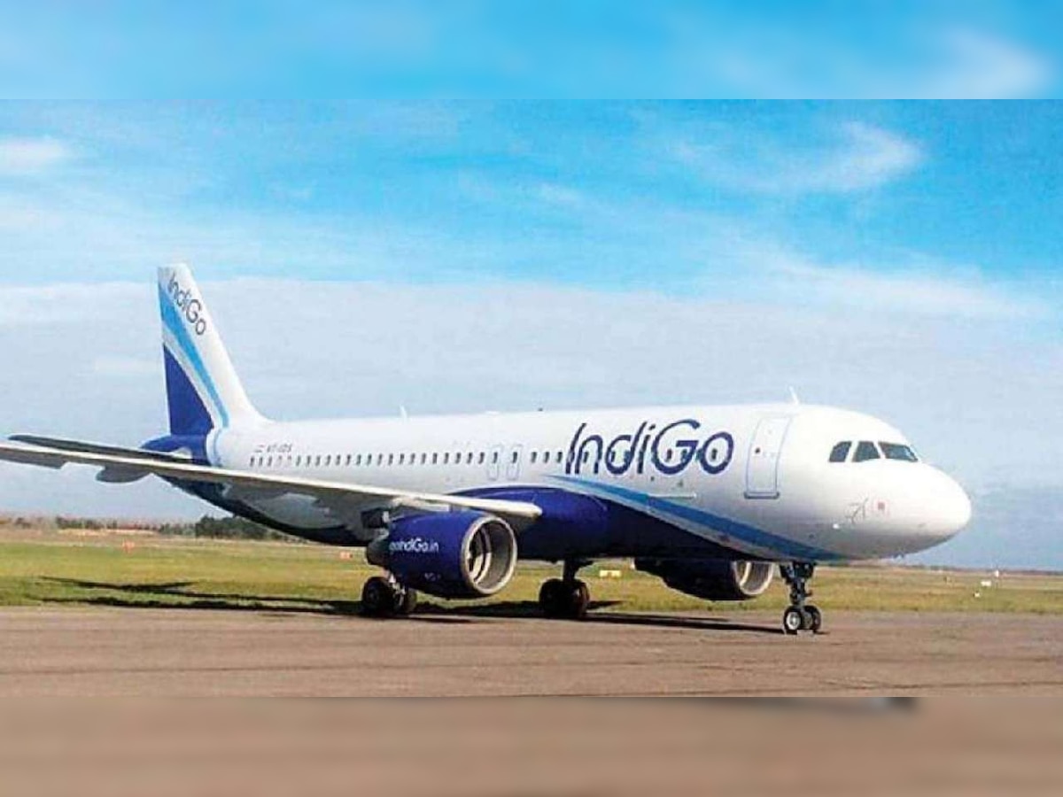 DGCA issues show cause notice to IndiGo over 'inappropriate' handling of specially-abled passenger