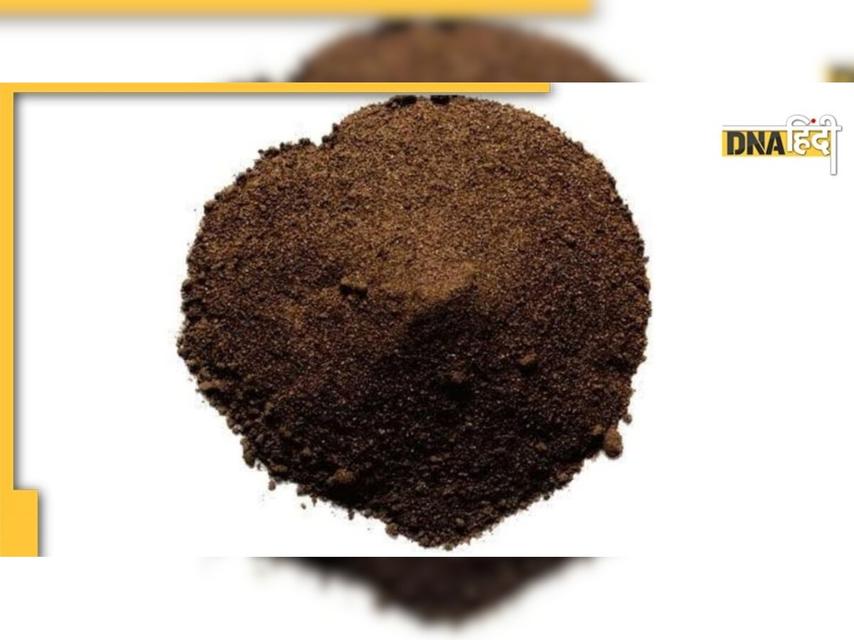 Black Turmeric Benefits: काली हल्दी को चेहरे पर लगाने से मिलते हैं फायदे, ऐसे करें इसका इस्तेमाल