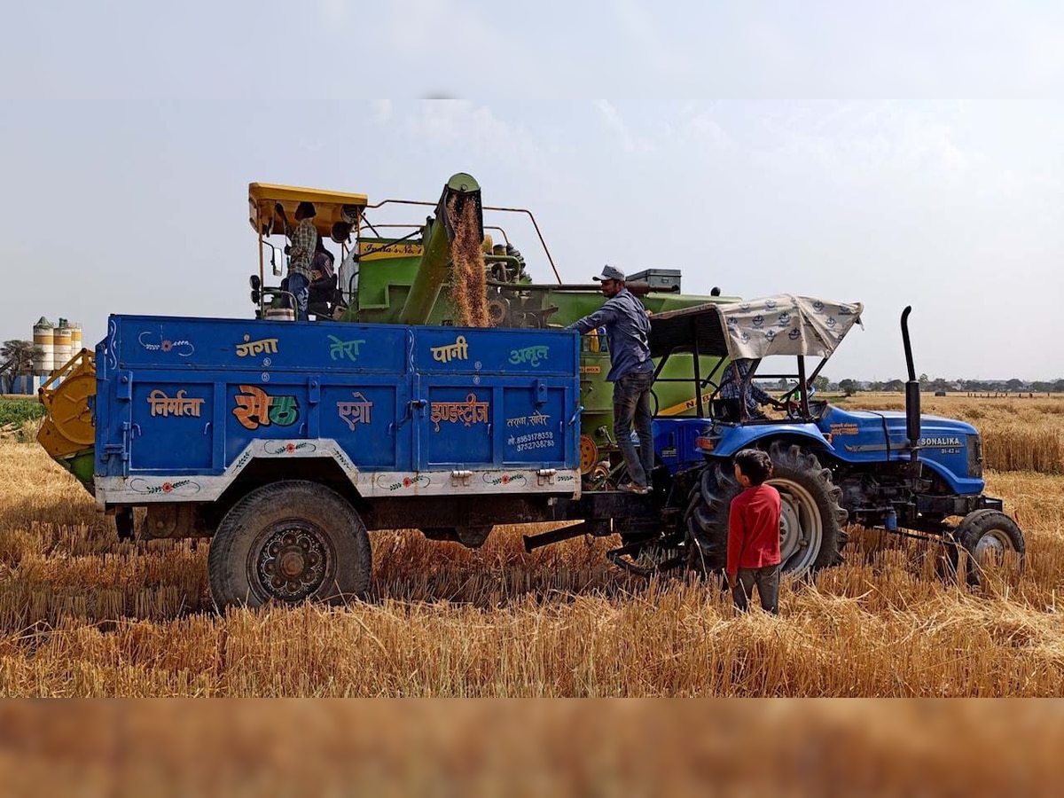 DNA Explainer: How world is reacting to wheat export ban by India amid Ukraine war