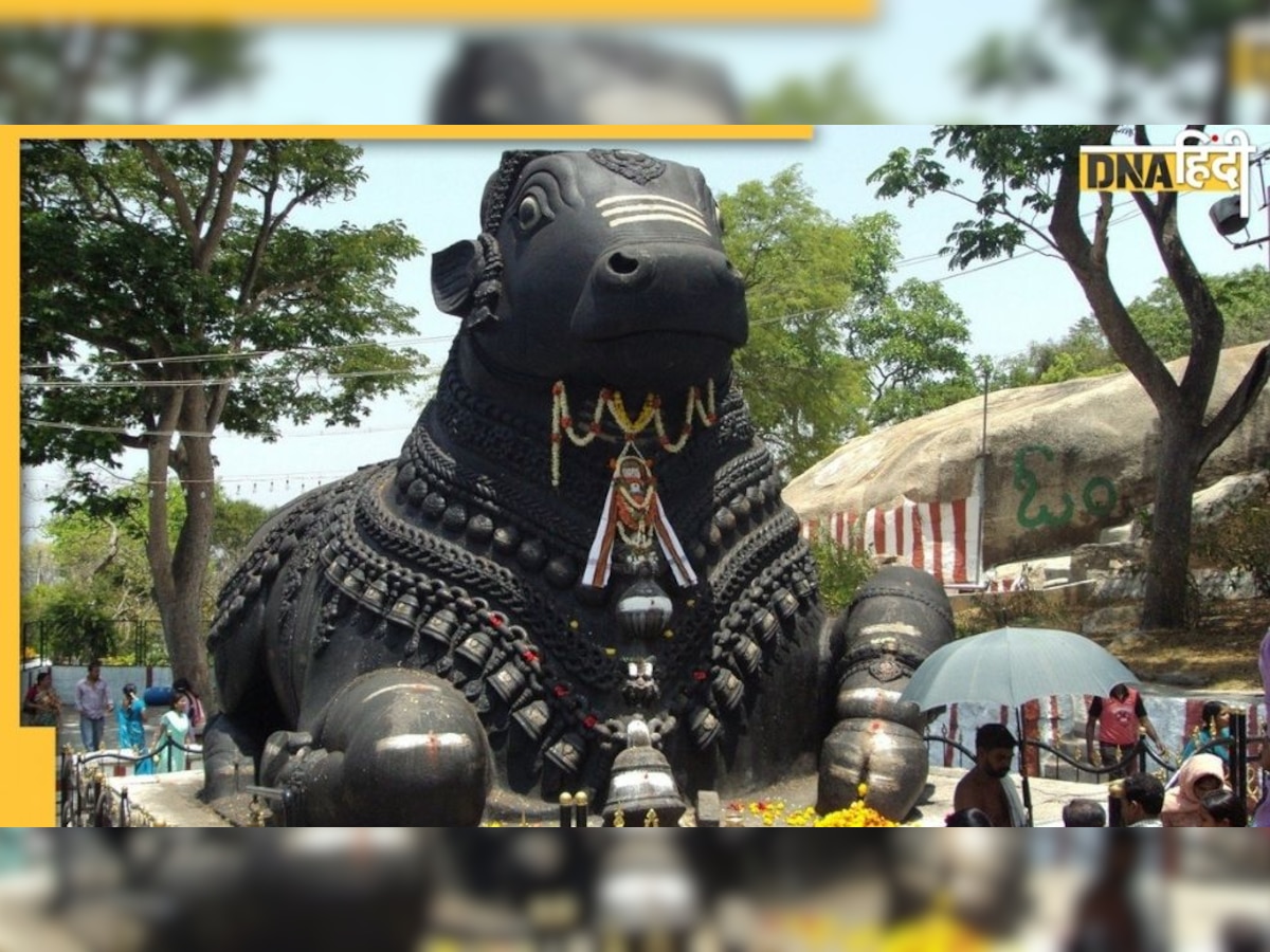 Shiv Puja : भोलेनाथ के दर्शन से पहले क्यों किया जाता है भगवान Nandi को प्रणाम, जानिए 