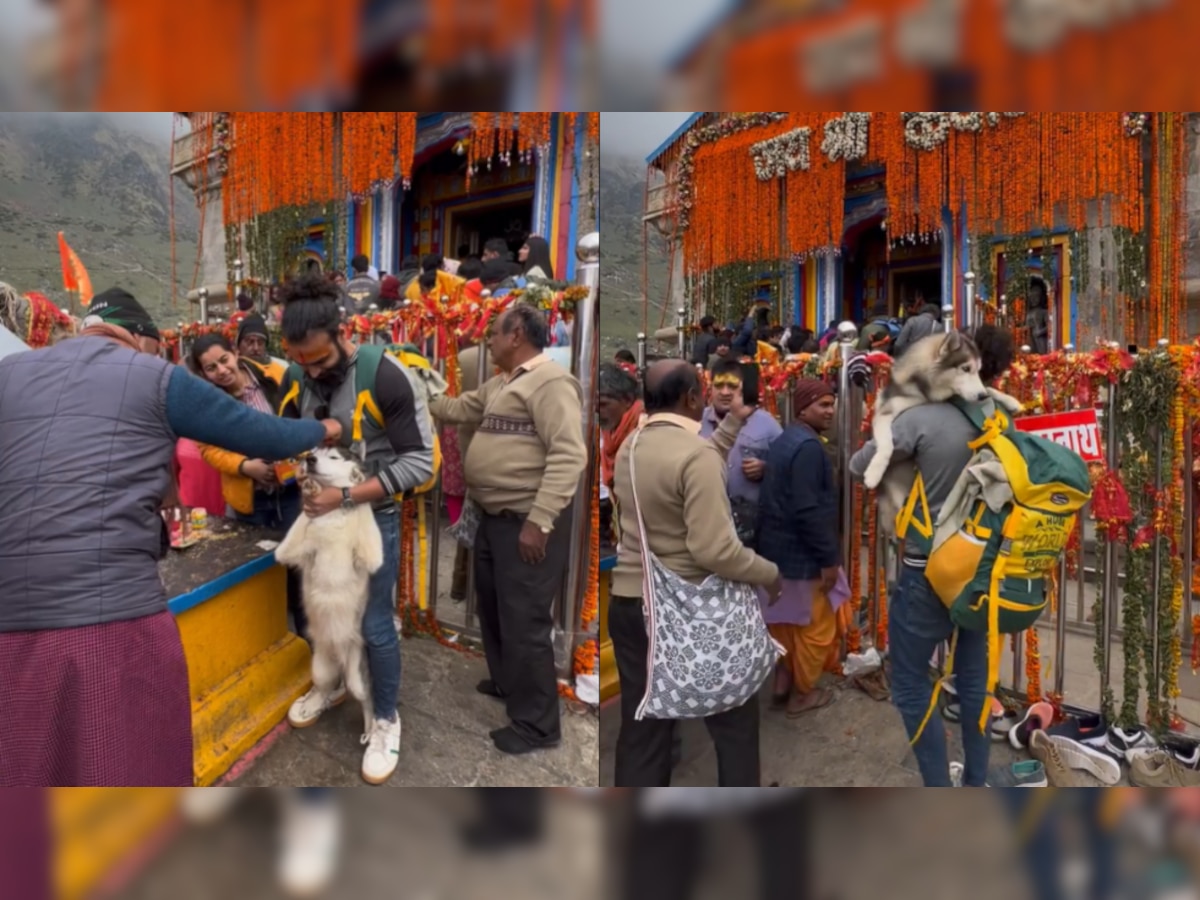 Noida vlogger takes pet dog to Kedarnath shrine, viral video sparks controversy