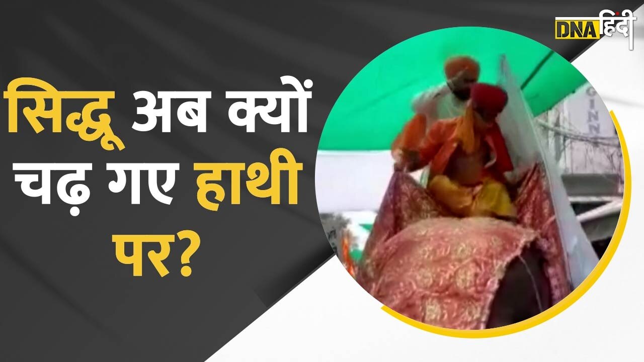 video: Navjot Sidhu पटियाला में क्यों हुए हाथी पर सवार ?