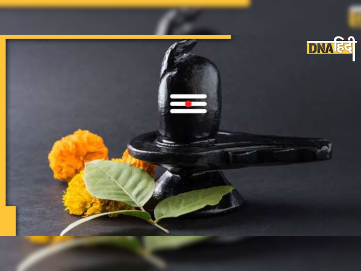 Shivling Puja : जानिए क्या है शिवलिंग का रहस्य? क्यों होती है शिव के इस रूप की पूजा  