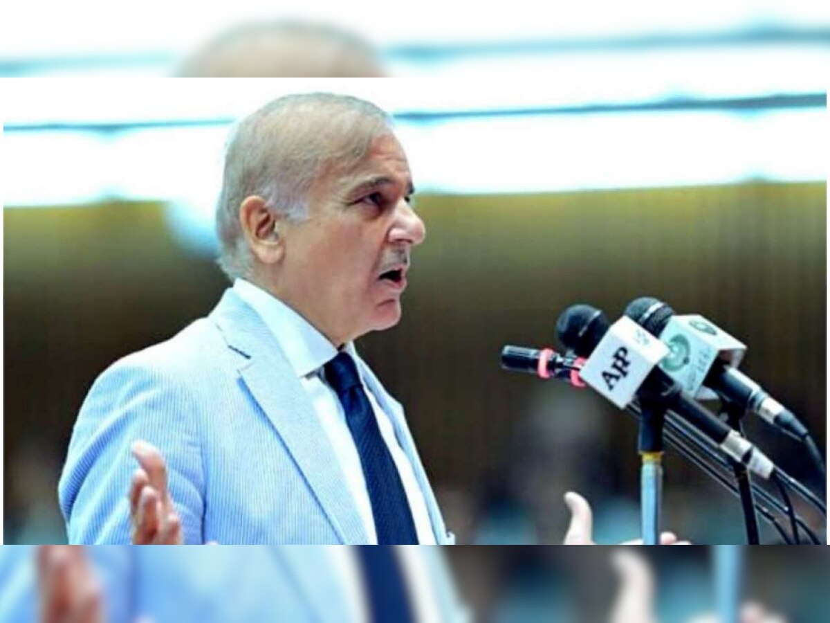 Pakistan and China are 'two brothers' who have nurtured their friendship over the years: PM Shehbaz Sharif
