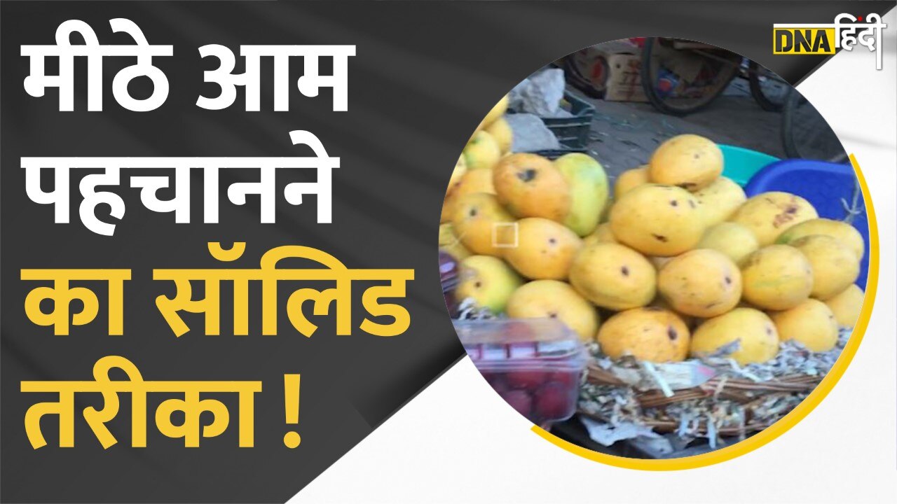 Video: Mango lovers कैसे करें मीठे आम की पहचान? फल बेचने-खरीदने वालों से सुनें tips