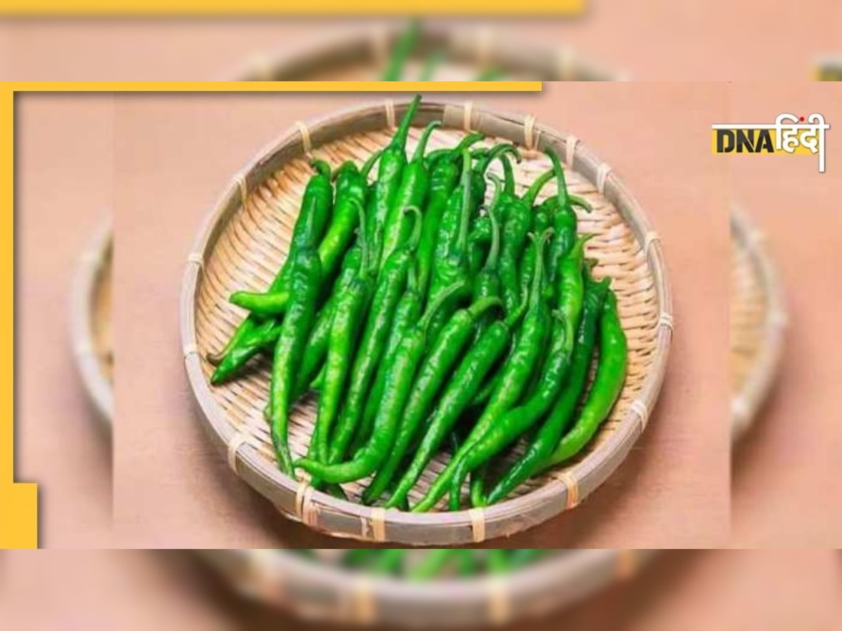 Green Chilli Benefits: हरी मिर्च खाने के हैं कई फायदे, जानकर हैरान हो जाएंगे 