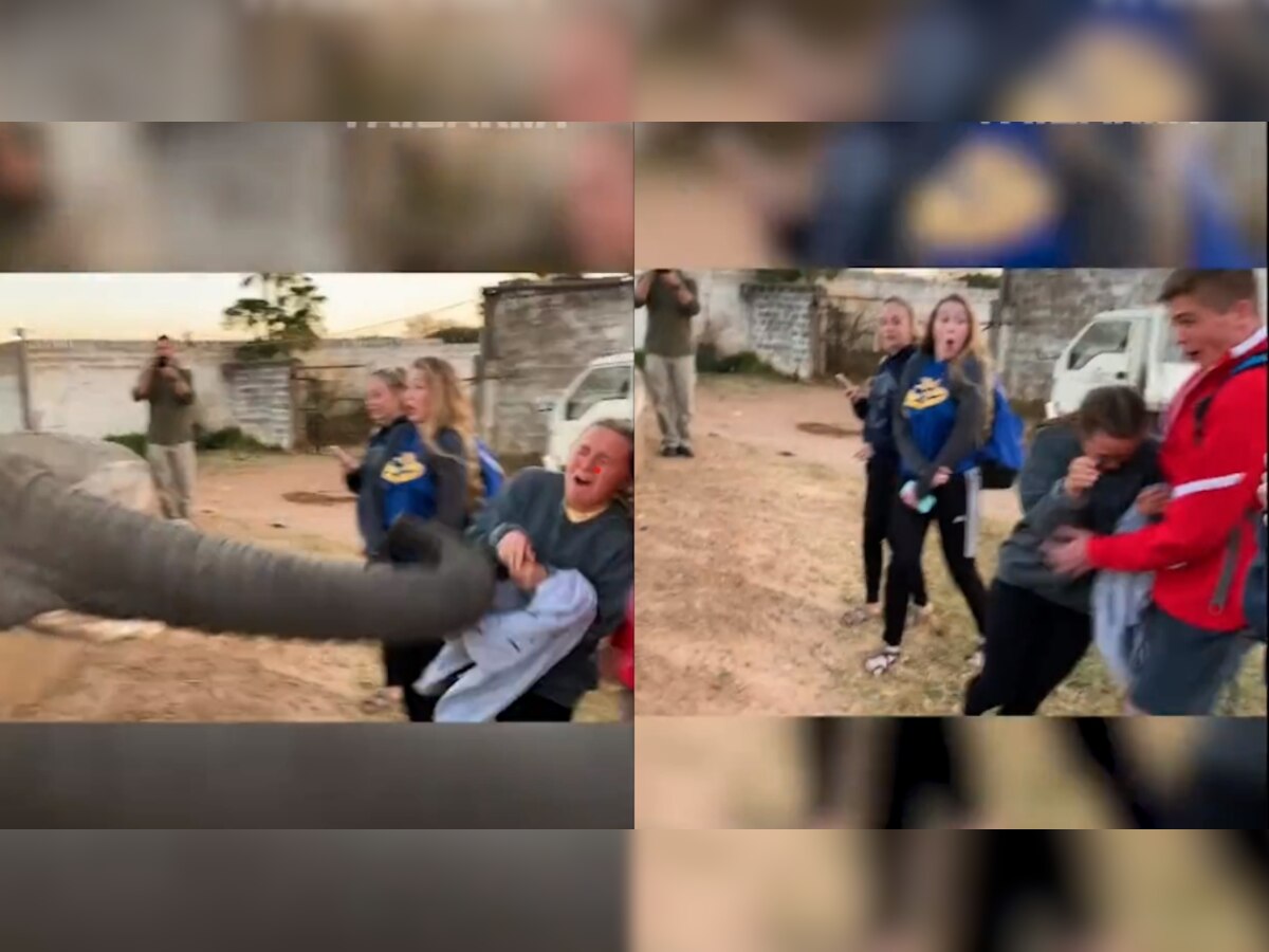 Viral video: Elephant slaps girl as she tries to click its photo