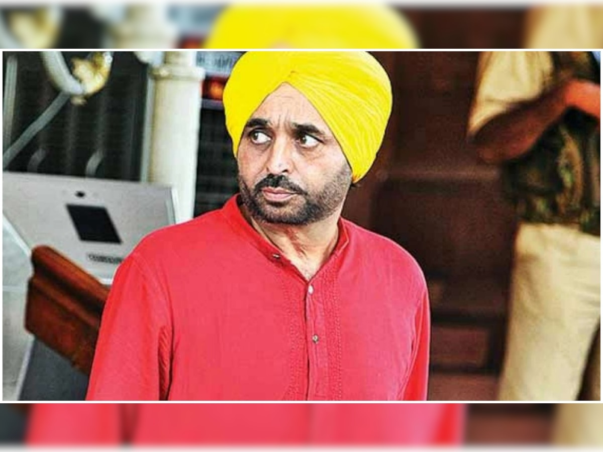 Punjabi language test mandatory for candidates applying for Group C, D posts: CM Mann