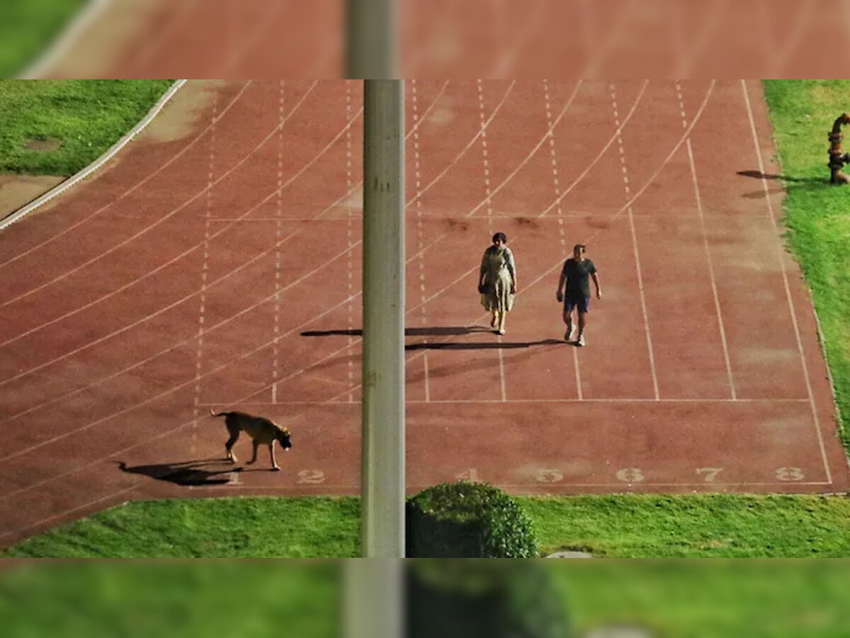 Delhi govt opens sports facilities till 10pm after reports of IAS walking dog in empty stadium
