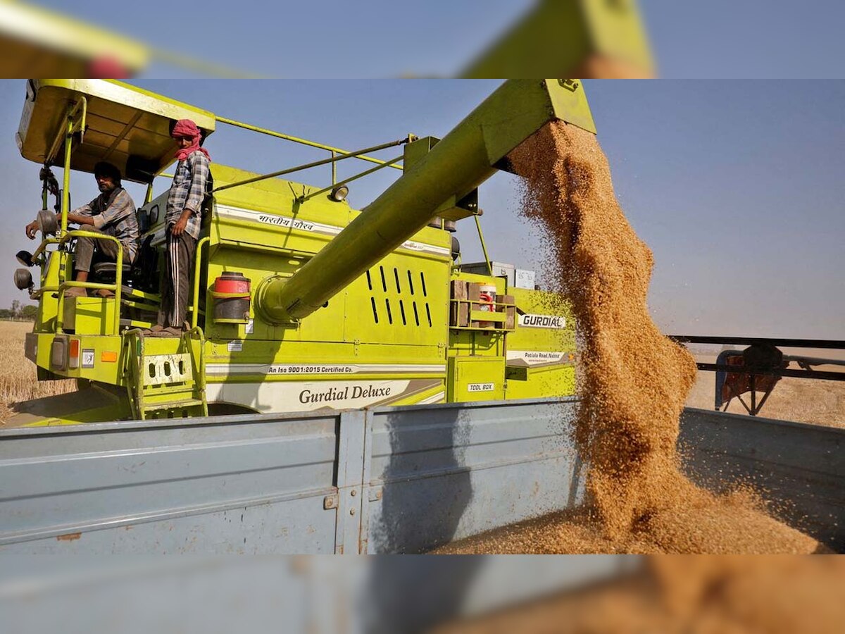 Climate change, Russia-Ukraine war leading to wheat deficiency in India, the possible solutions