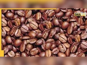 Optical Illusion: कॉफी बीन्स के बीच छिपा है इंसान का चेहरा, एक मिनट में ढूंढ लिया तो कहलाओगे जीनियस