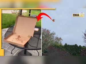 Funny Video: चिड़िया उड़ा ले गई पिज्जा, लड़की बनाती रह गई वीडियो