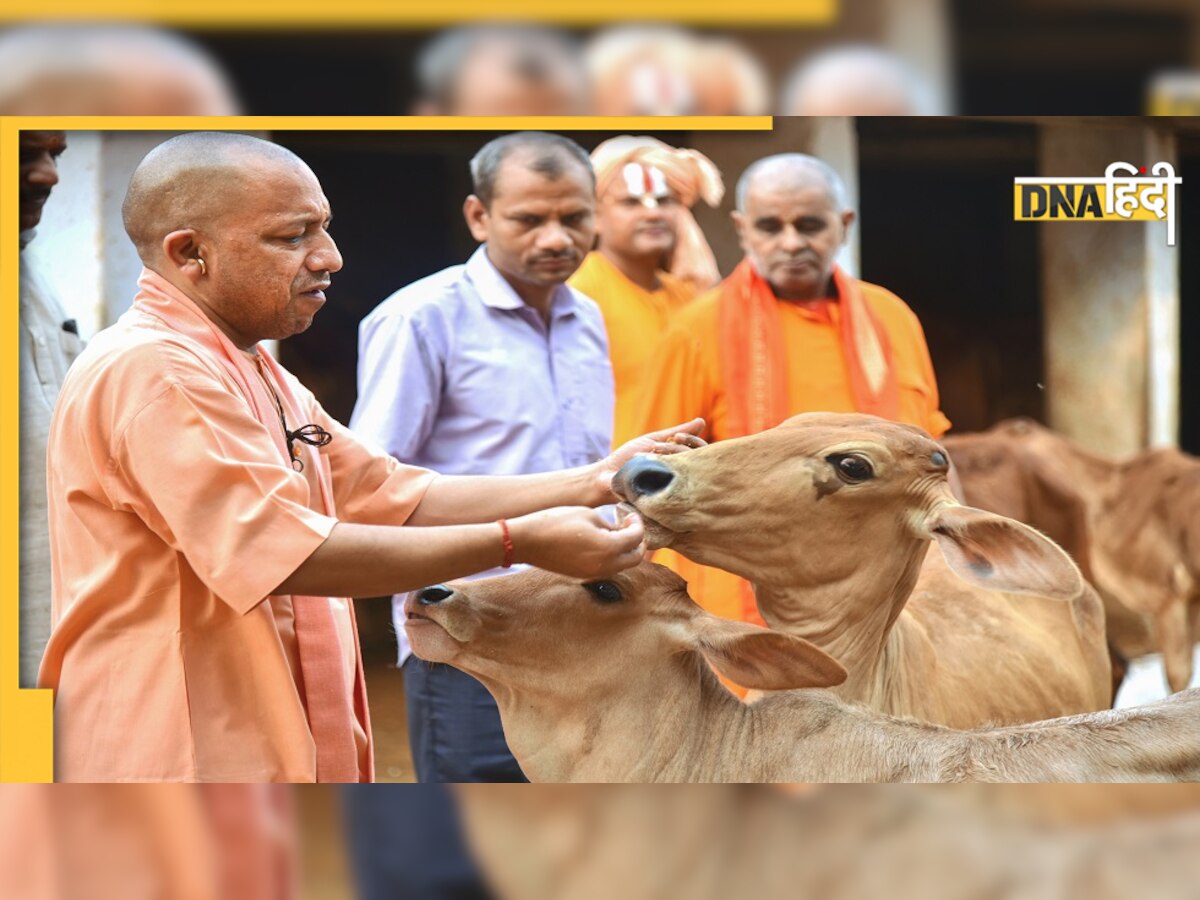 Yogi Adityanath पर की थी अभद्र टिप्पणी, अब सजा के तौर पर करना होगा यह काम