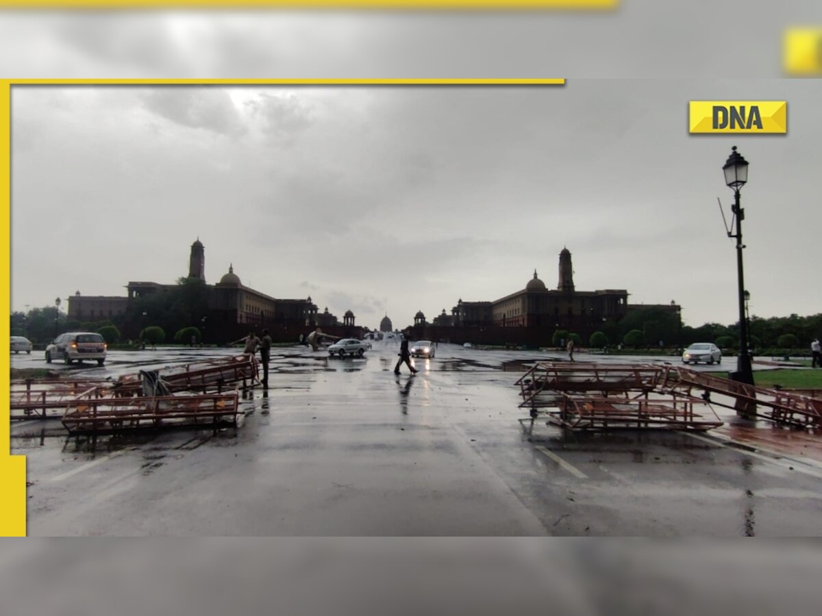 Delhi: 2 dead, hundreds of trees uprooted as severe storm batters capital