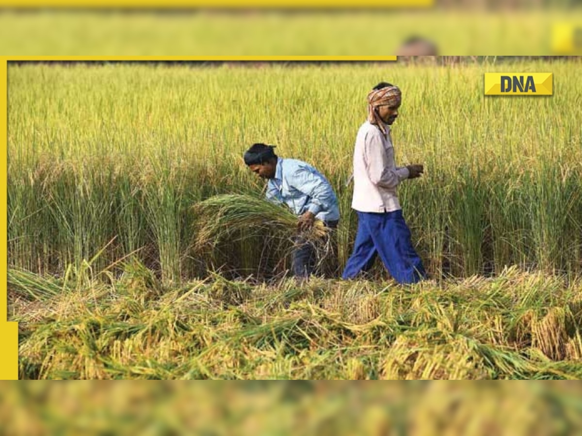 PM Kisan 11th installment: Have not received Rs 2,000? Here’s how to raise complaint