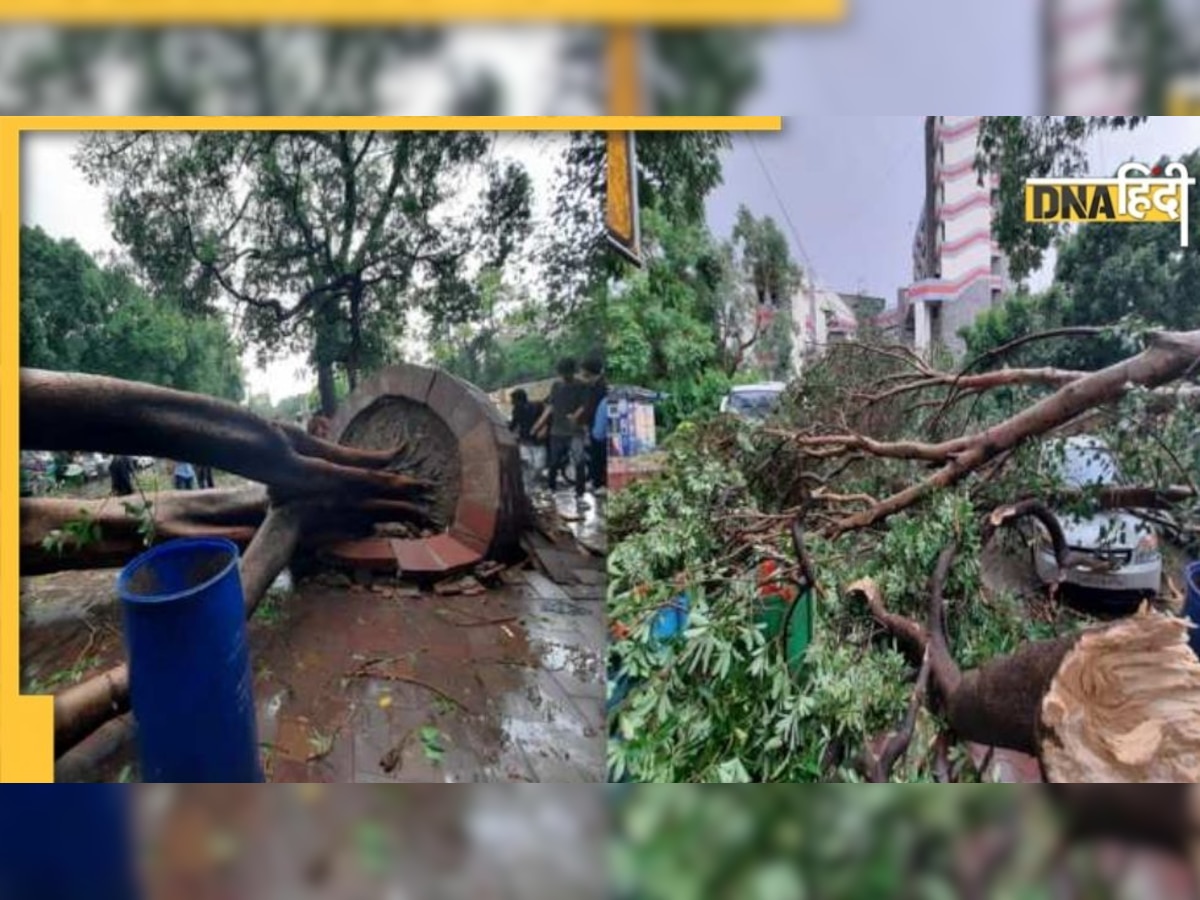 Delhi: आधे घंटे की आंधी में कहां हुआ कितना नुकसान, आखिर क्यों धराशाई हुए पेड़?